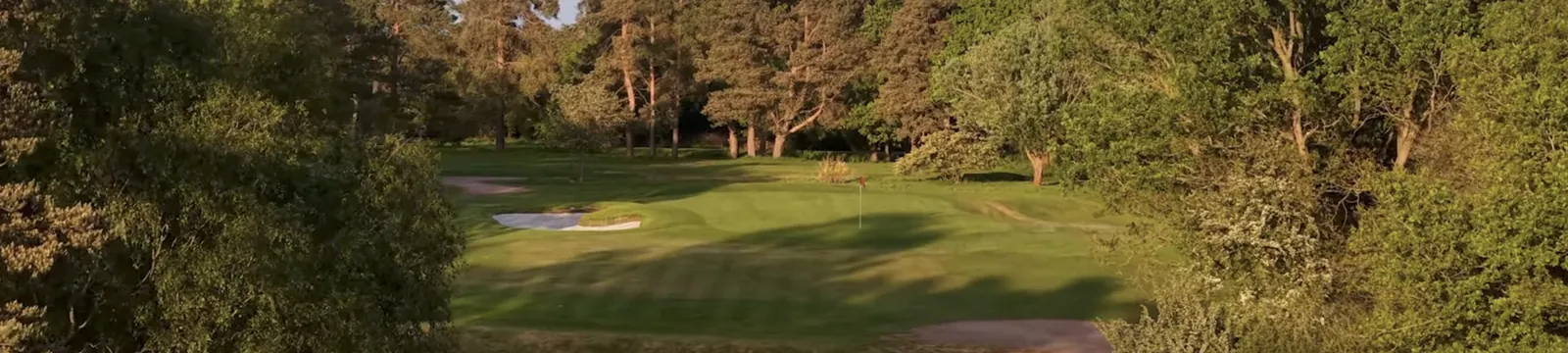 A green set among trees, seen from the fairway.